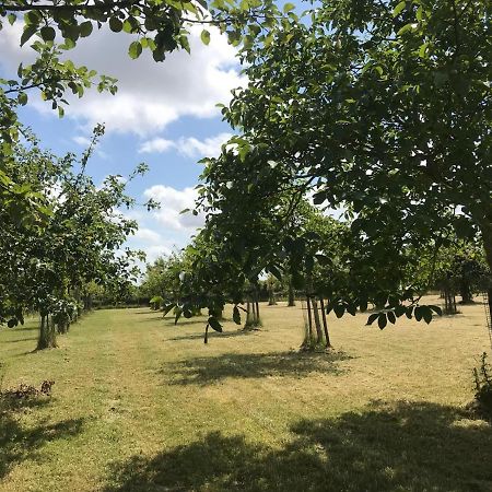 Vakantiehuizen 'T Centrum Oostkapelle Luaran gambar