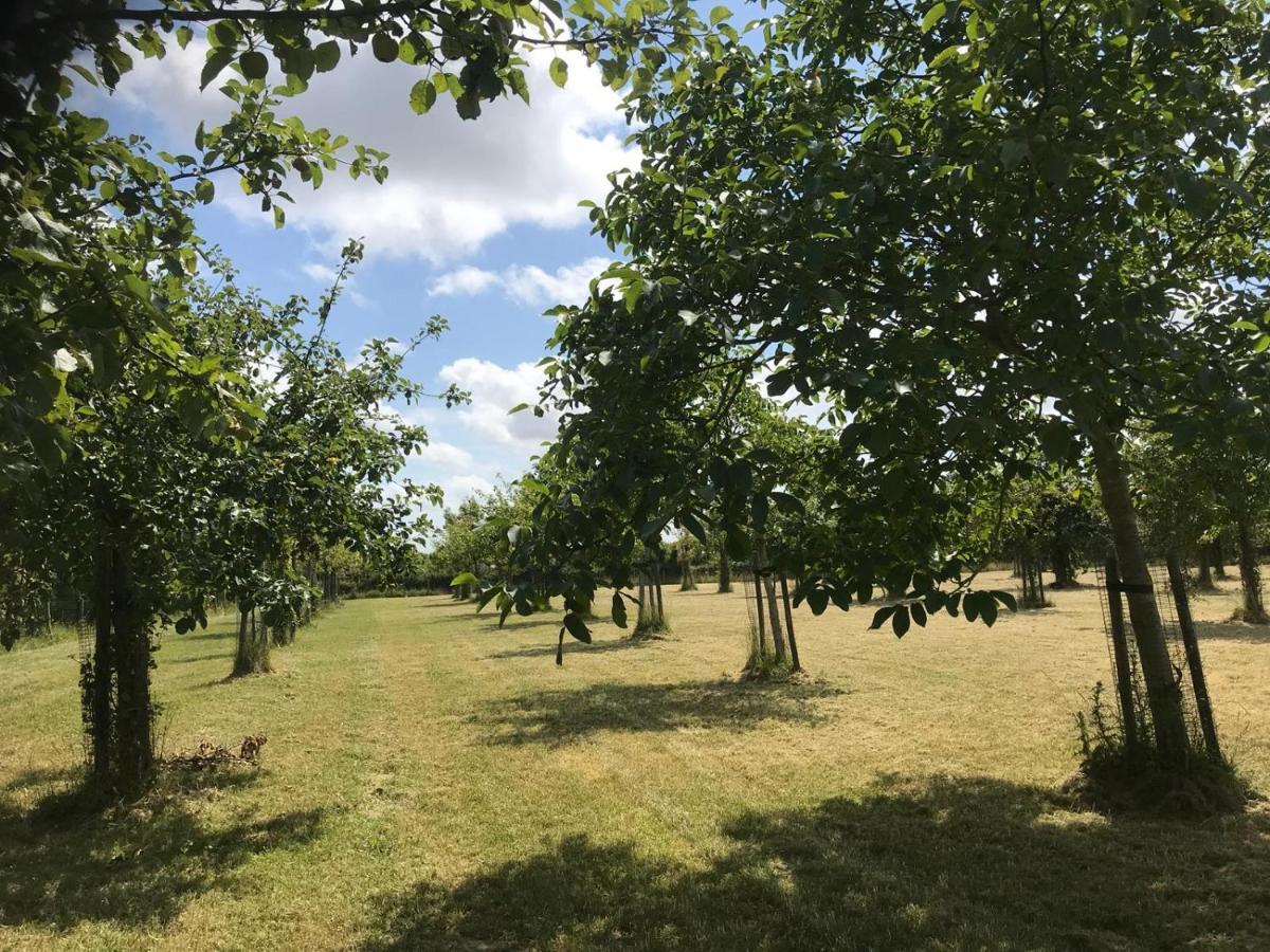 Vakantiehuizen 'T Centrum Oostkapelle Luaran gambar